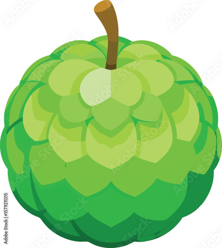 Matcha Green Tea Aesthetics Delicious and Healthy Custard Apple: A Vibrant, Green Illustration of a Whole Fruit