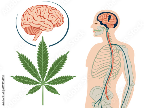 Human brain anatomy vector illustration with a tree and heart design, symbolizing the concept of nature and love