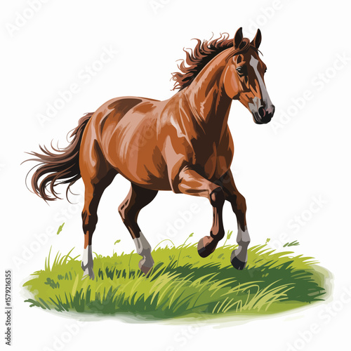 Galloping Horse in Nature