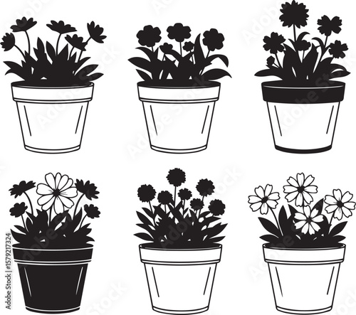 set of flowers in pots
