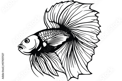 vector illustration of a fish