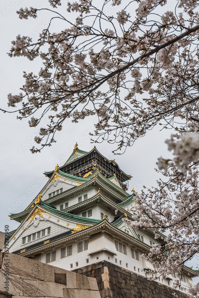 Osaka Castle in Japan, viewed from below with cherry blossoms in the foreground. The castle's intricate details and the delicate pink flowers create a stunning contrast. A picturesque spring scene. Osaka Castle in Japan, viewed from below with cherry blossoms in the foreground. The castle's intricate details and the delicate pink flowers create a stunning contrast. A picturesque spring scene.