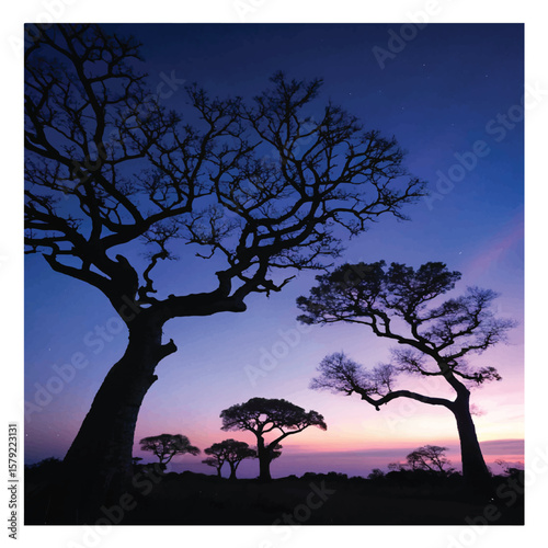 tree silhouette
