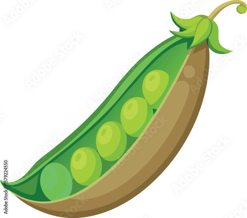 Fresh Green Peas in a Pod, Vibrant Vector Illustration, Healthy Food, Nature's Goodness