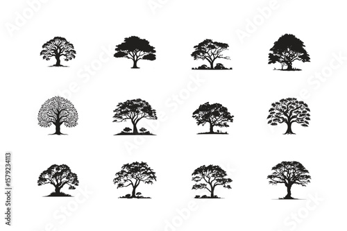 Set of Turmeric Tree silhouettes with leaves branches decorative elements