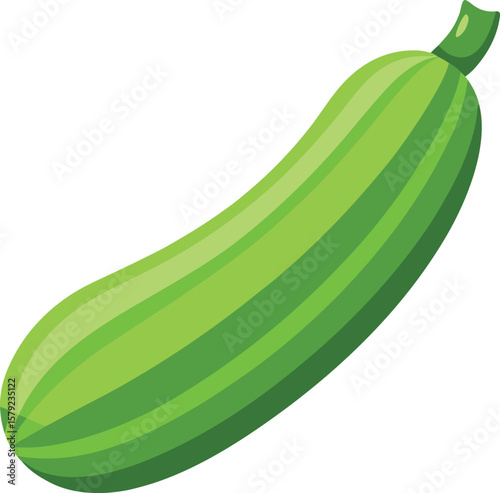 Fresh Green Zucchini Vegetable, Healthy Food Illustration, Summer Harvest, Organic Farming, Diet Concept