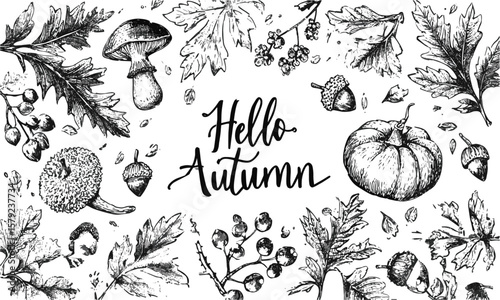 A collection of autumn-themed hand-drawn Autumn plants vector sketches. Hand-drawn set of harvest, modern vector illustrations, including plants, easily editable and scalable.