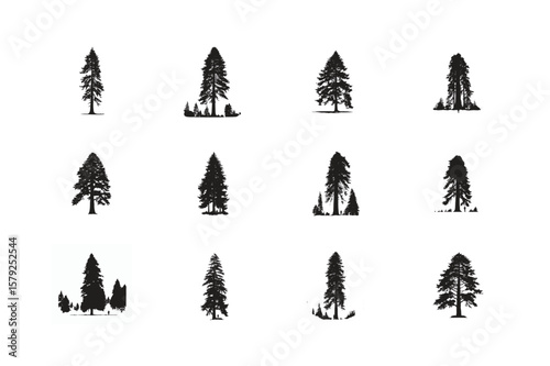 A vibrant collection of Sequoia tree and vector trees, perfect for holiday greeting cards and winter season designs