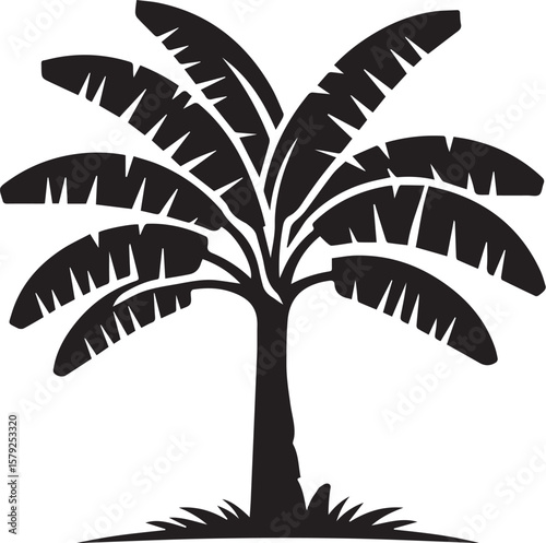 banana tree silhouette vector, black and white