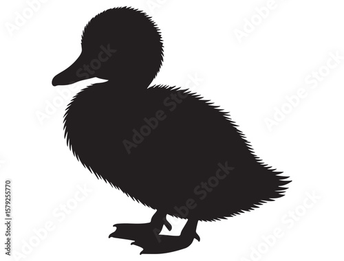 DUCKLING SILHOUETTE