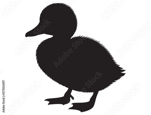 DUCKLING SILHOUETTE
