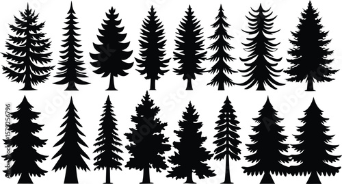 Twenty Four Black Silhouette Pine Tree Illustrations