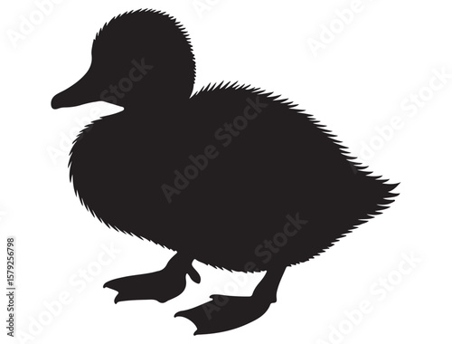 DUCKLING SILHOUETTE
