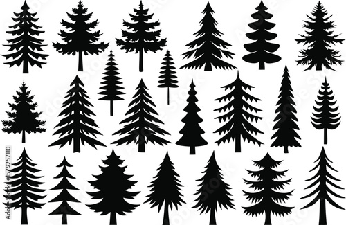 Twenty Black Silhouette Pine Tree Graphics for Design