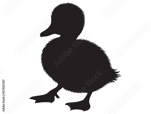 DUCKLING SILHOUETTE
