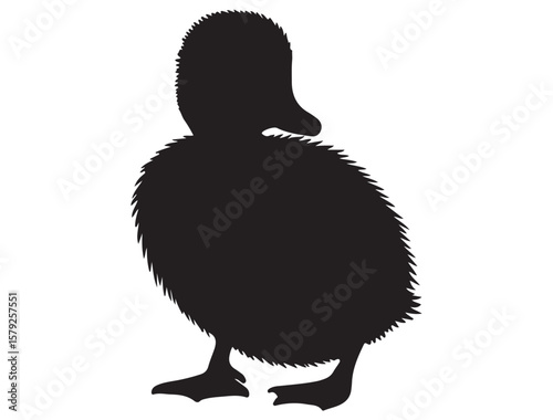 DUCKLING SILHOUETTE