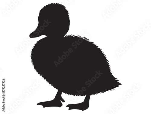 DUCKLING SILHOUETTE