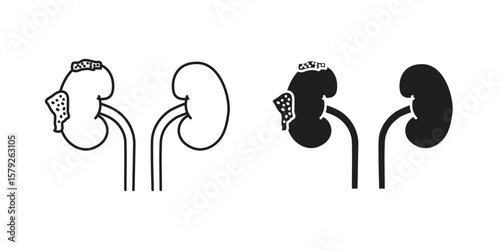 Kidney disease icon outline and solid vector sign, linear pictograms