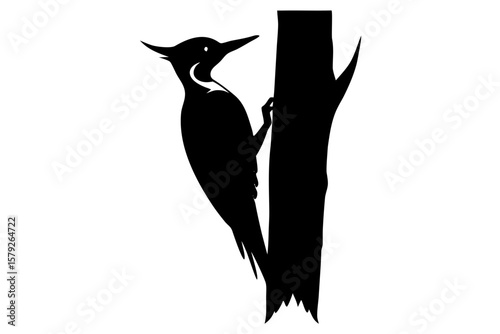 Woodpecker clinging to a tree trunk silhouette vector illustration