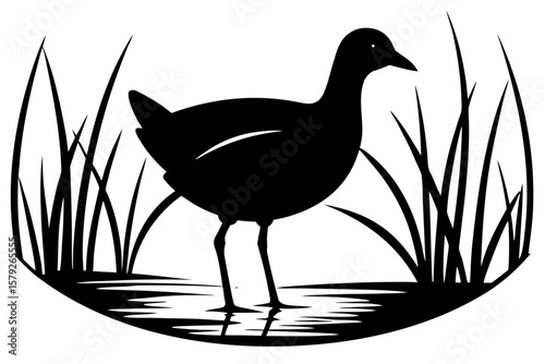Moorhen standing among reeds in water silhouette vector illustration