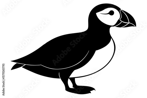 Standing atlantic puffin bird animal wildlife silhouette vector illustration