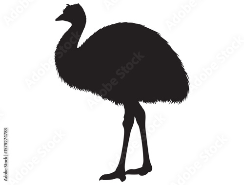 EMU SILHOUETTE