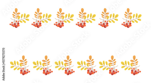 Frame, border with autumn leaves, berries. Place for text. Autumn, rowan branch. Botanical illustration of nature. Leaf fall. White isolated background. Food