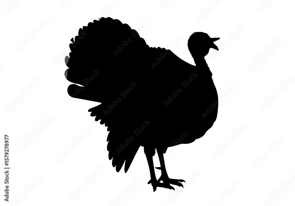 Fototapeta premium vector illustration of a turkey