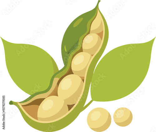 Fresh Soybeans in Pod with Leaves: Healthy and Nutritious Vegetarian Food Source