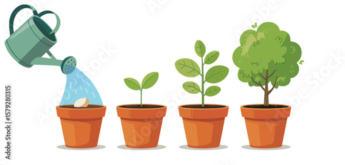Plant Growth Stages from Seed to Tree