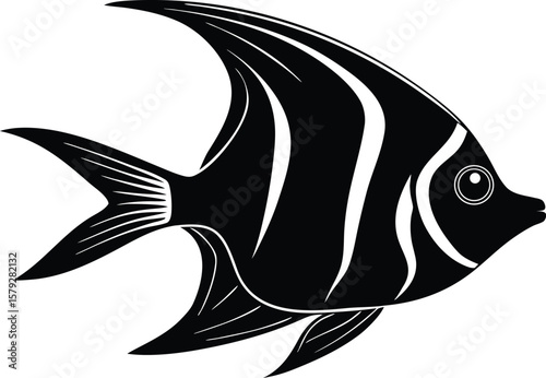 angelfish fish vector icon