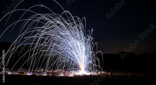 Ephemeral Spark Capturing the Dance of Light in Steel Wool Photography Under a Night Sky