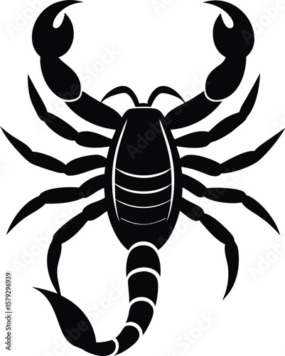 scorpion stinger on white background.eps