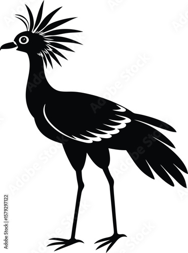 secretary bird on white background.eps