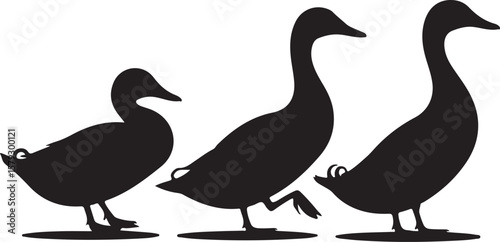 Three geese walking in a line silhouette isolated on transparent background