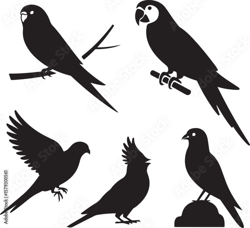 Collection of five bird silhouettes in various poses isolated on transparent background silhouette