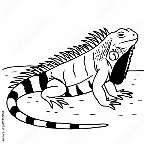 Hand-Drawn Iguana Lizard Vector Illustration