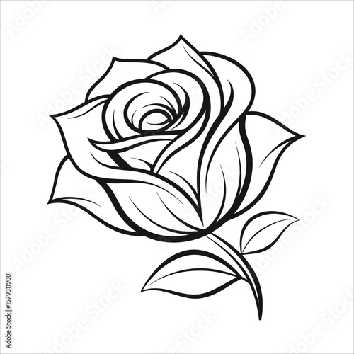 black rose vector illustration