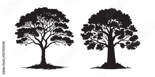silhouette tree line drawing set, Side view, set of graphics trees elements outline symbol for architecture and landscape design drawing. 