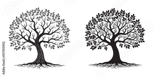 silhouette tree line drawing set, Side view, set of graphics trees elements outline symbol for architecture and landscape design drawing. 
