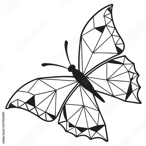 Colorful open umbrella and parasol vector illustration on white for summer beach and sky protection
