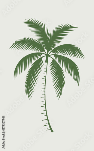 Green palm tree with textured trunk and fronds tropical