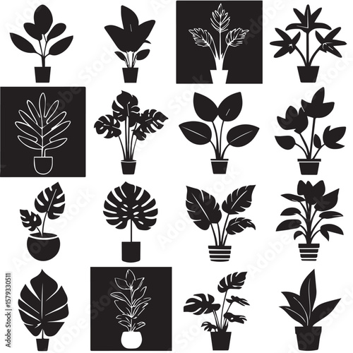 A grid of diverse potted houseplants in black and white silhouette style