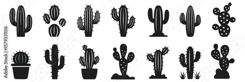 Cactus Desert Silhouettes Set – Large Vector Pack of Various Cactus Plants and Desert Elements, Isolated on White Background