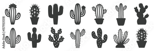 Cactus Silhouette Collection – Extensive Vector Set Featuring Different Cactus Types on White Background