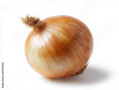 Wallpaper Mural onion isolated on white background Torontodigital.ca