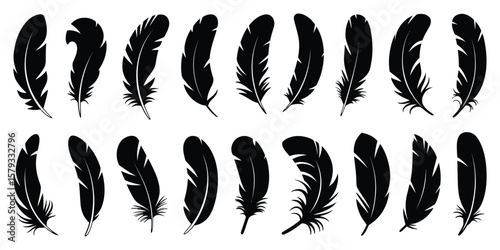 Feather Silhouettes – Vector Collection of Graceful Feather Designs for Decorative, Fashion