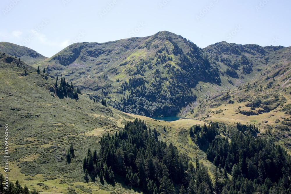 Naklejka premium Paysage des Pyrénées