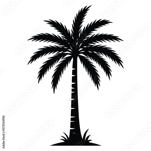 Date Palm Tree Silhouette – Vector Illustration of Tropical Palm