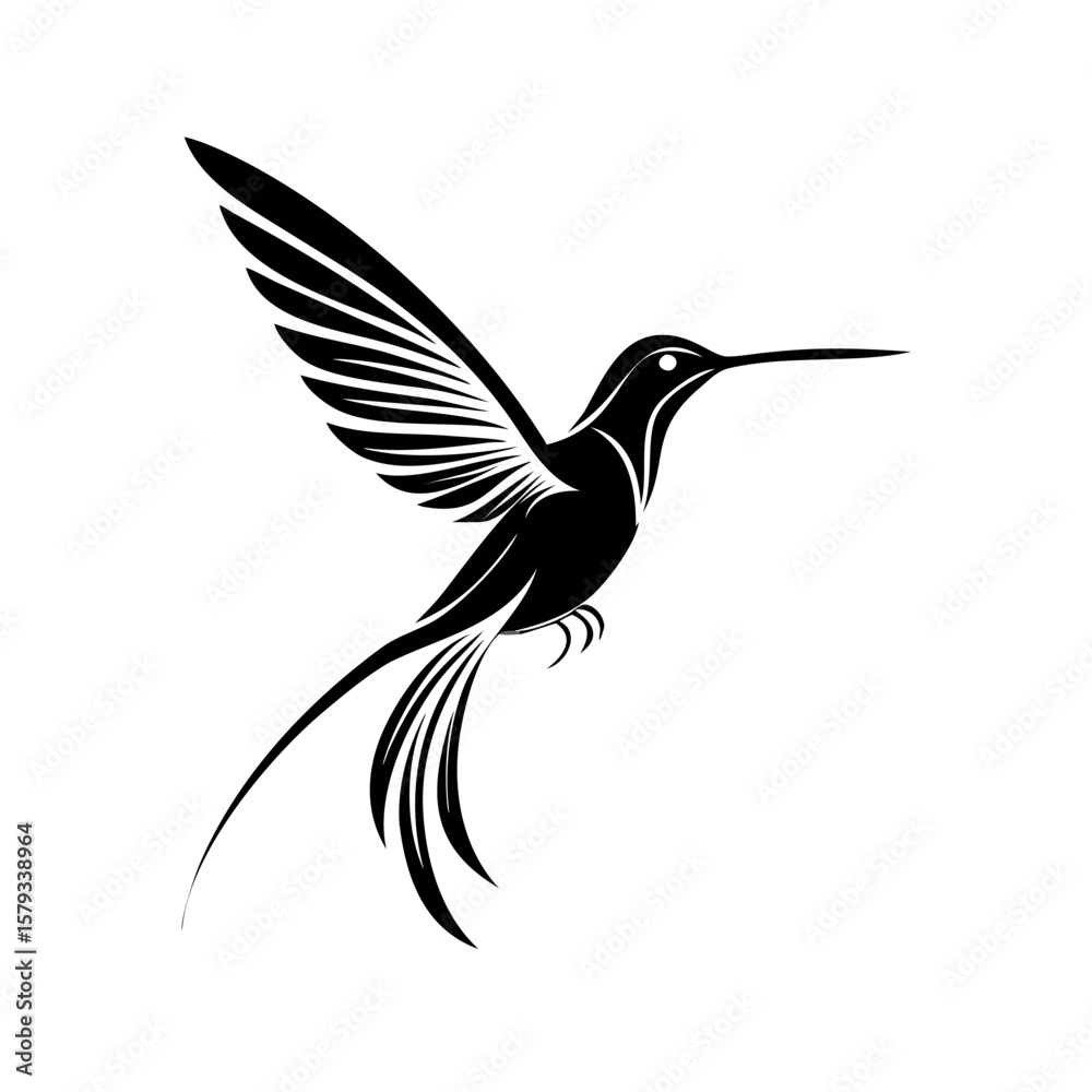 Obraz premium hummingbird in flight